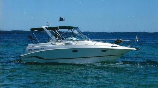 1998 Larson Marine Cabrio 290
