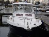 2001 Quicksilver 900 COMMANDER