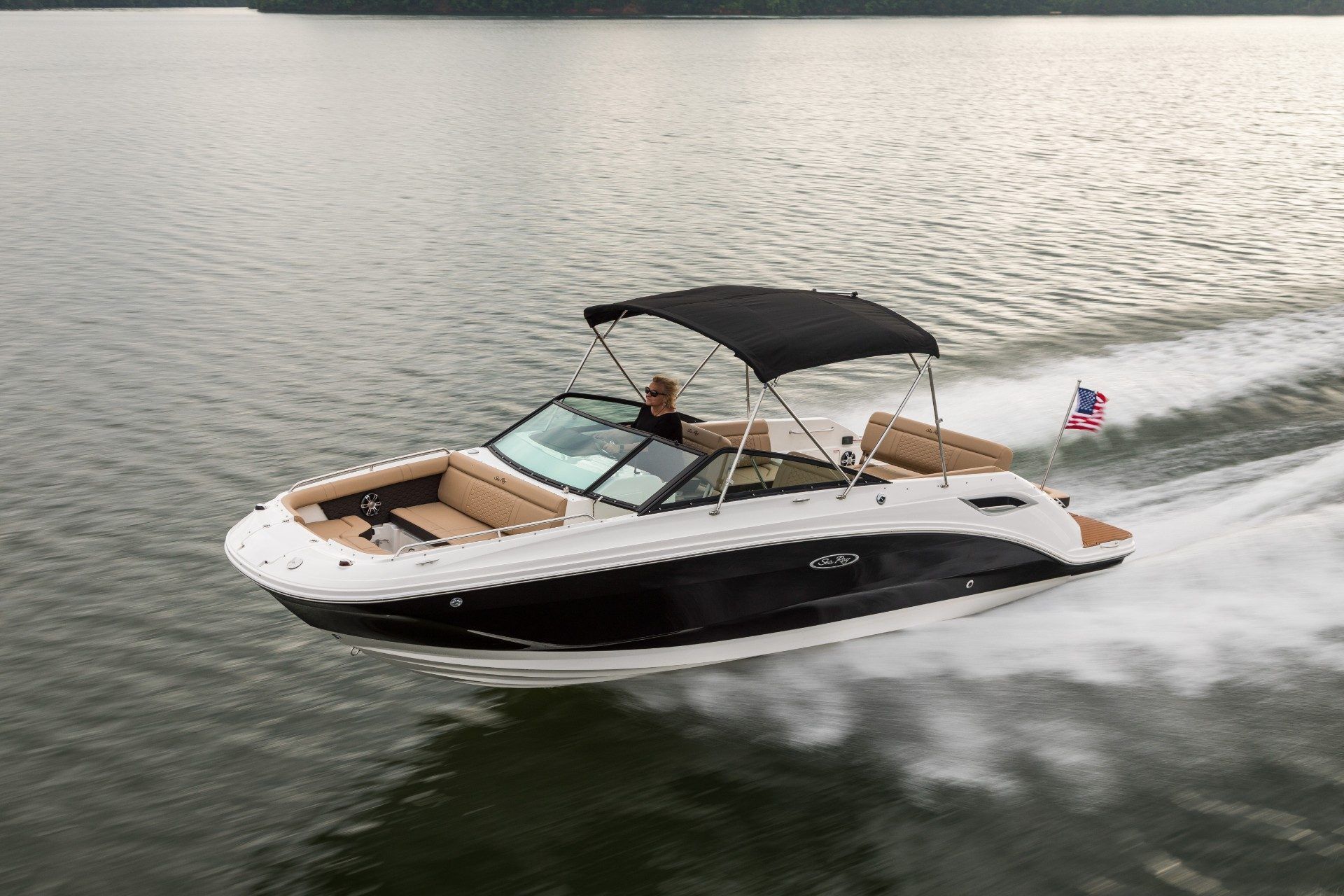 2022 Sea Ray SDX 250
