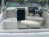 2001 Larson Marine Cabrio 290