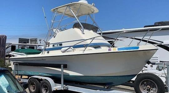 1982 24 Flybridge Sportsfisher