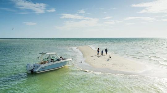 2022 Boston Whaler 240 Vantage