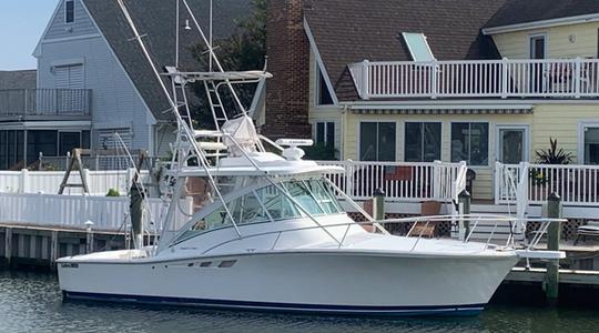 2005 Luhrs 32 Open