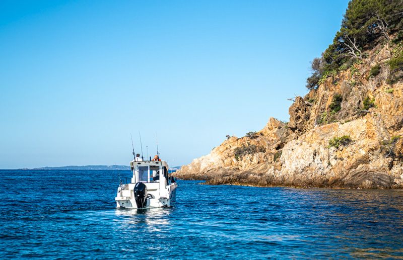 Quicksilver 805 Pilothouse Fish photo 1