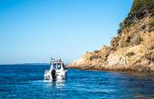 Quicksilver 805 Pilothouse Fish photo 1