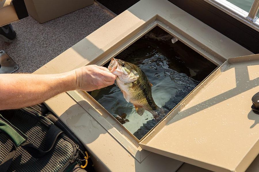 2024 Lowe Boats Ultra 182 Fish Cruise