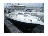 2001 Quicksilver 900 COMMANDER