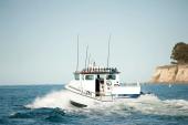 White Anderson 31 pilothouse turning at speed near a coastal headland
