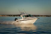2016 Rayglass Boats Legend 2200
