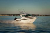 2016 Rayglass Boats Legend 2200