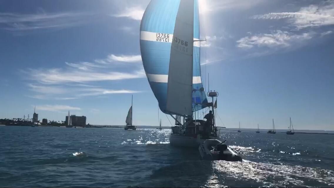 1974 Carter Optimist 37