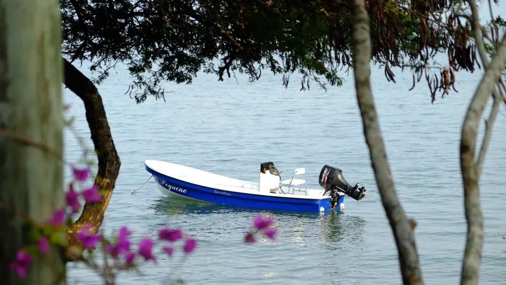 2019 Sensation Boats Islander