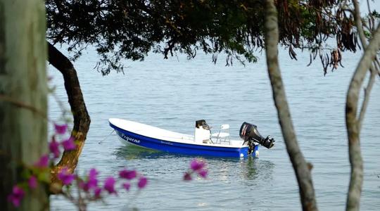 2019 Sensation Boats Islander