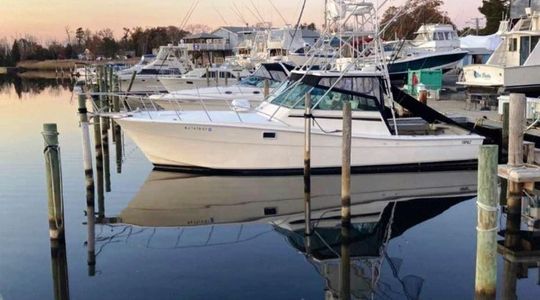 1987 Topaz 37 Sportfisherman