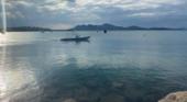 2022 Cobra Ribs Nautique Inboard 10