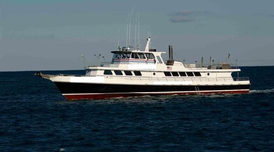1977 Derecktor Shipyards Custom Charter
