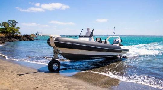 2019 Sealegs 9.0M Hydrasol RIB