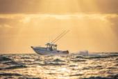 Yellowfin 34 Offshore running offshore under a golden sky