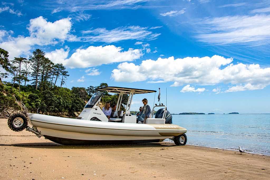 2020 Sealegs 7.5M Amphibious RIB