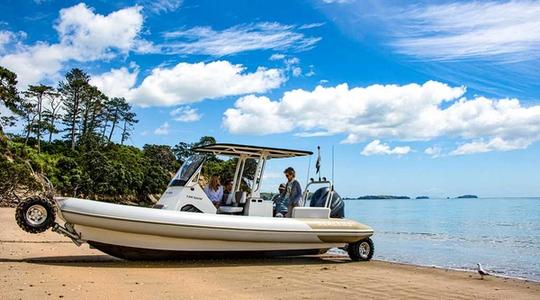 2020 Sealegs 7.5M Amphibious RIB