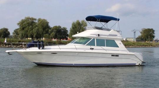 1991 Sea Ray Sedan Bridge 27