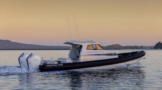 2022 Rayglass Boats Protector 410 Targa