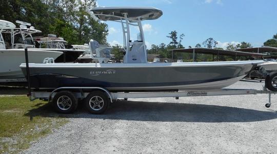 2022 Blue Wave PureBay