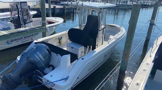 2017 Robalo R222 Center Console