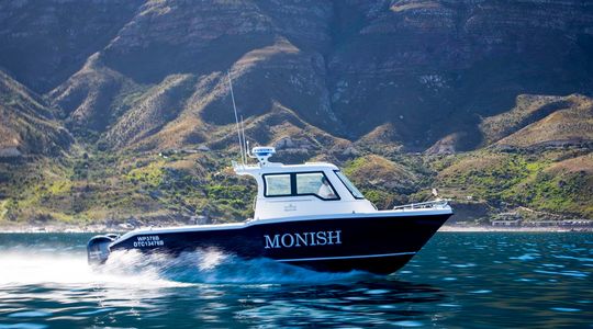 2018 Two Oceans Magnum 2750 Power Catamaran Walkaround