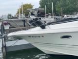 2001 Larson Marine Cabrio 290