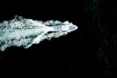 Aerial view of the Yellowfin 39 Offshore leaving a long wake on dark water