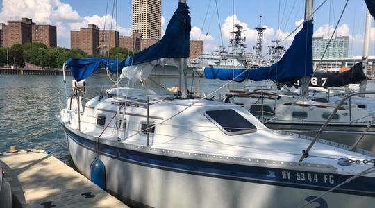 1988 Watkins Seawolf