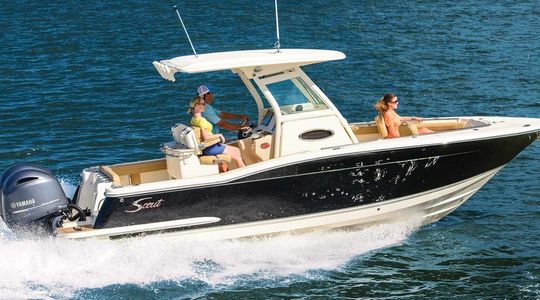 2022 Scout Boats 255 Lxf