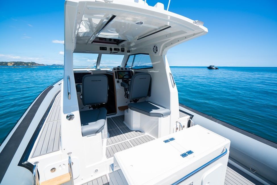 2022 Rayglass Boats Protector 410 Targa