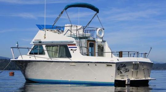 1977 Tollycraft Yachts CRUISER