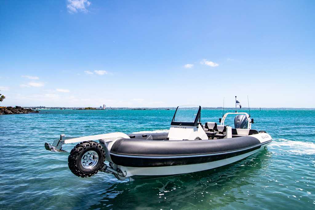 2019 Sealegs 9.0M Hydrasol RIB