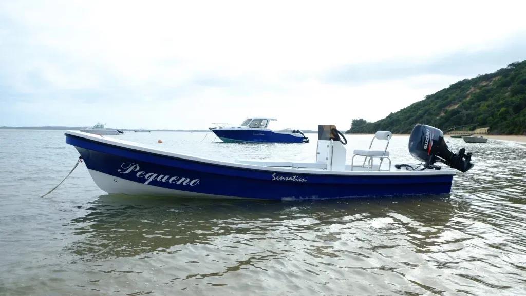 2019 Sensation Boats Islander