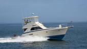 1988 Chris-Craft Commander 422