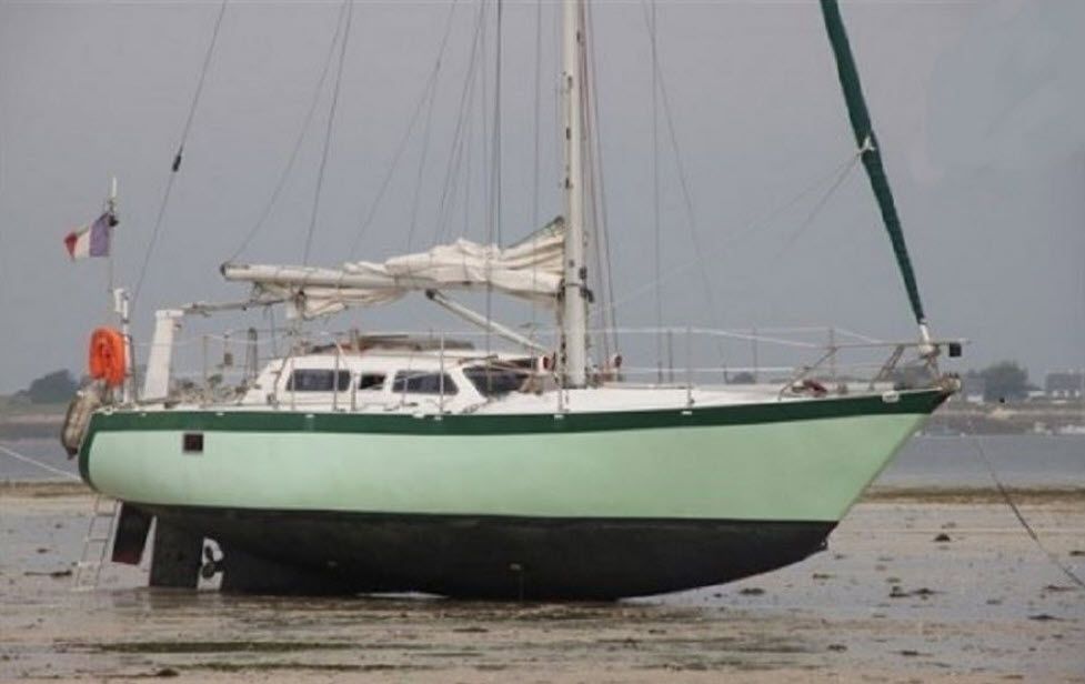 1981 Form Ocean Fruit de mer -Centerboard (Trunk)