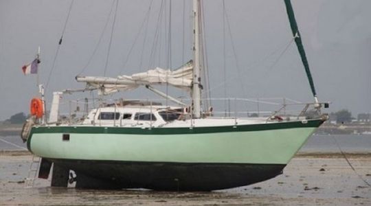 1981 Form Ocean Fruit de mer -Centerboard (Trunk)