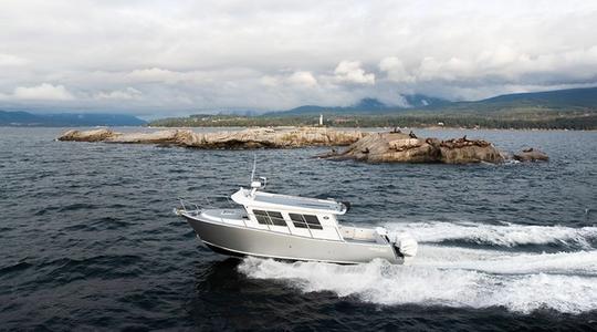 2022 Coastal Craft 33 Profish