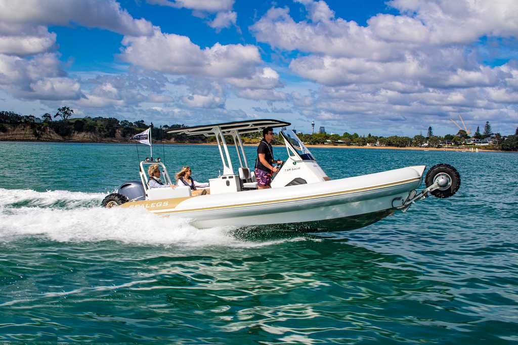 2020 Sealegs 7.5M Amphibious RIB