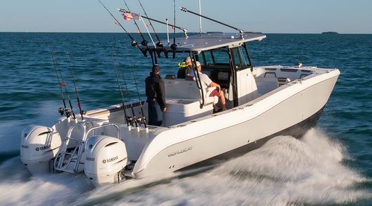 2018 WorldCat 295CC Center Console