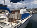1985 Bayliner Contessa
