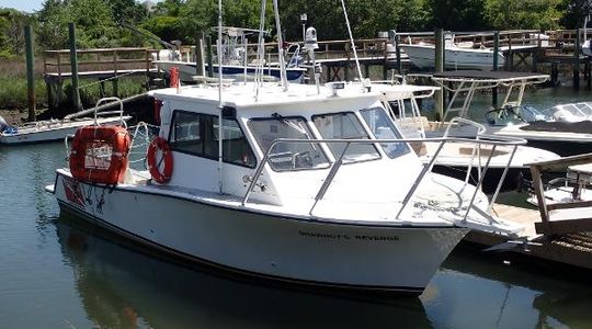 2013 Newton Boats Dive Special