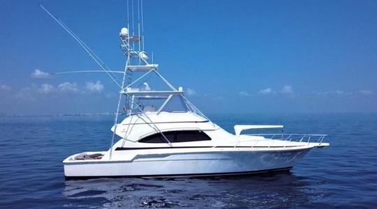 2000 Bertram 510 Convertible