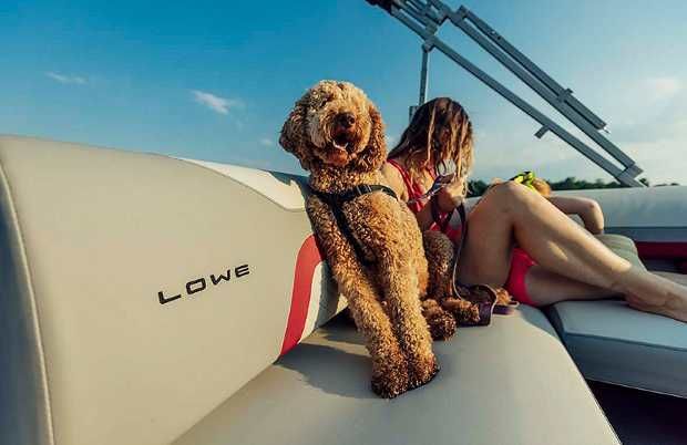 2021 Lowe Boats SS 210 CL