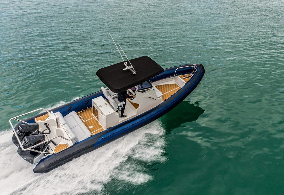 2022 Rayglass Boats Protector 310 Chase