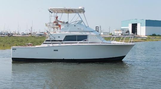 1979 Bertram 33 Sport Fisherman