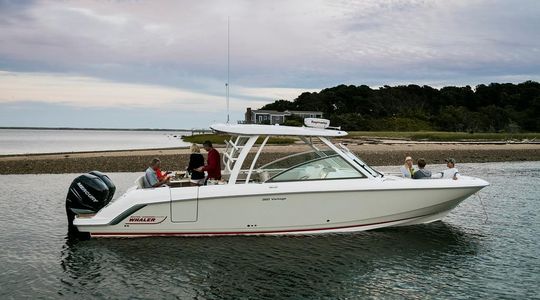 2022 Boston Whaler 320 Vantage